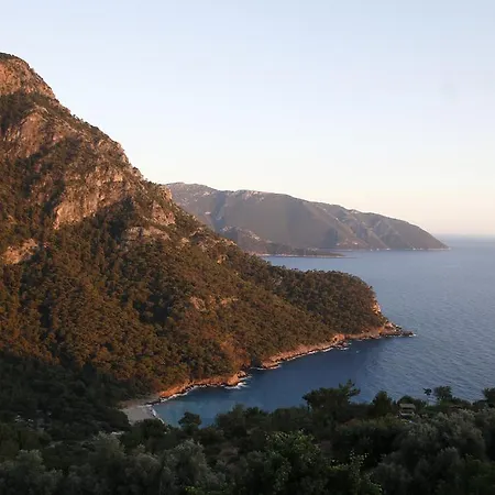 Homestay Kabak Mamma's Faralya